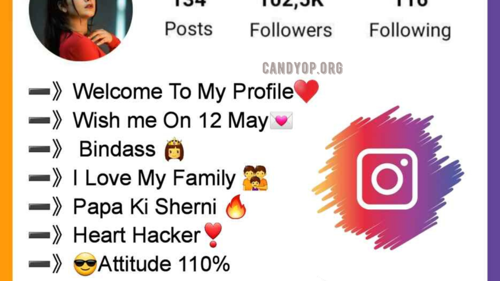 Instagram Bio For Girls
