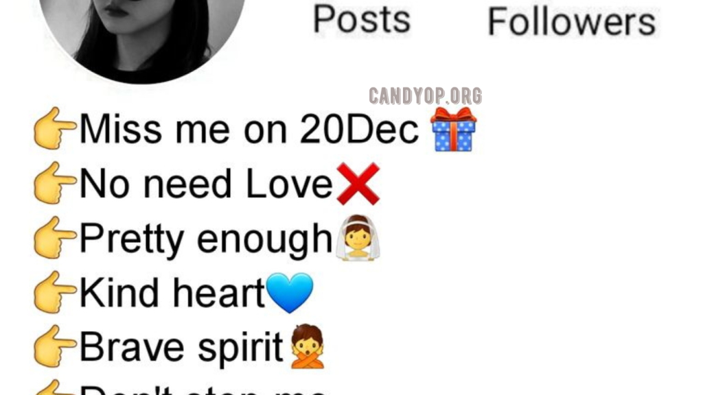 Instagram Bio For Girls 2024