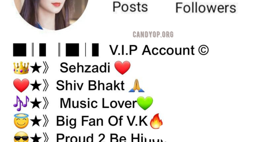 Instagram Bio For Girls 2024