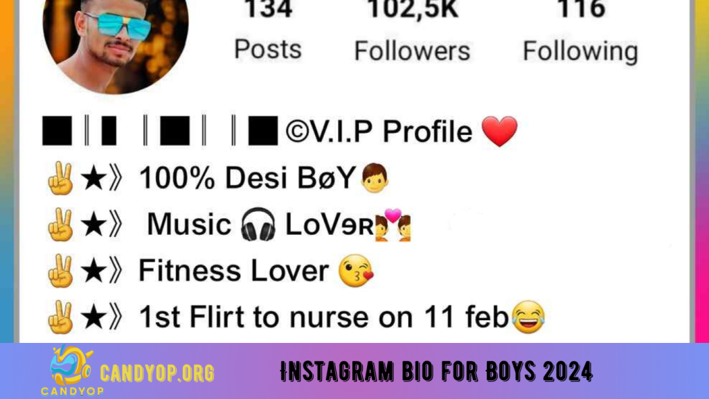 Instagram bio for Boys 2024