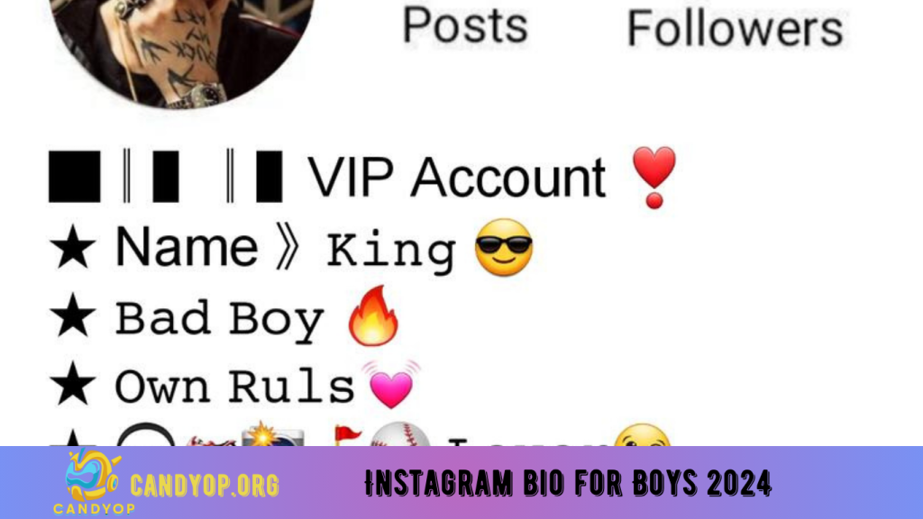 Instagram bio for Boys 2024