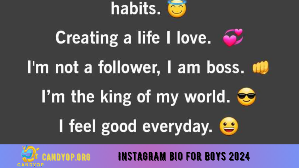 Instagram bio for Boys 2024