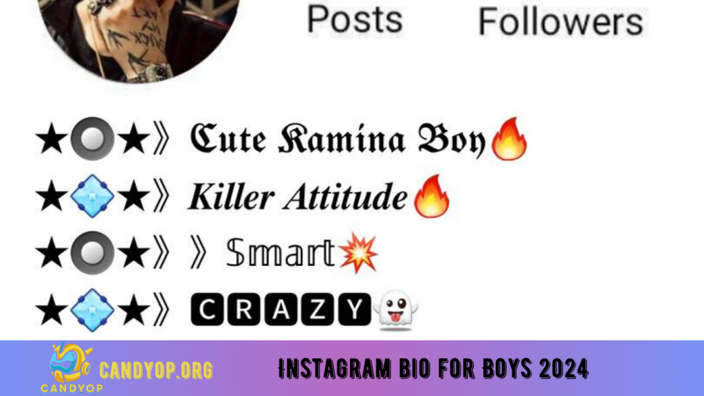 Instagram bio for Boys 2024