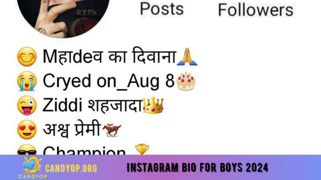 Instagram bio for Boys 2024