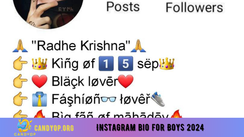 Instagram bio for Boys 2024