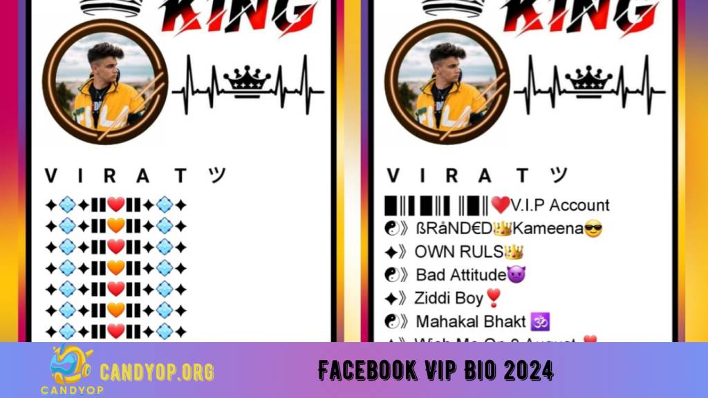 Facebook Vip Bio 2024