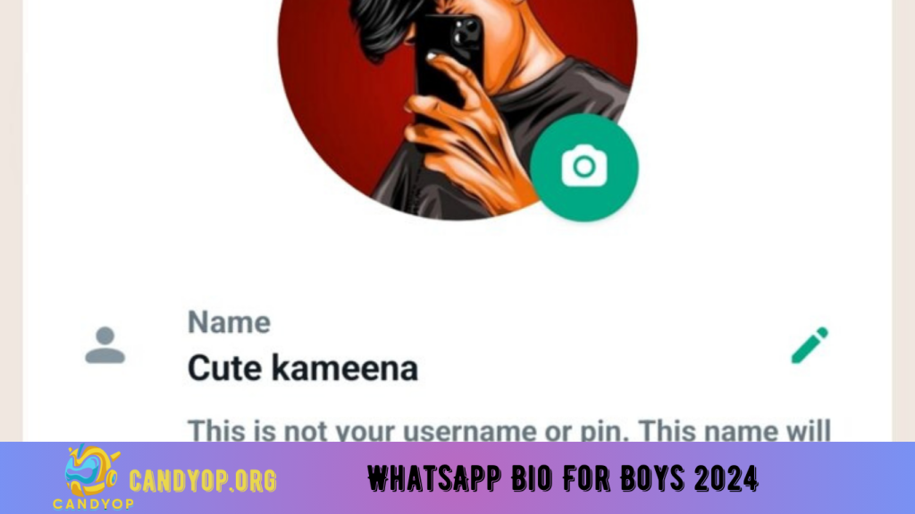 WhatsApp Bio For Boys 2024