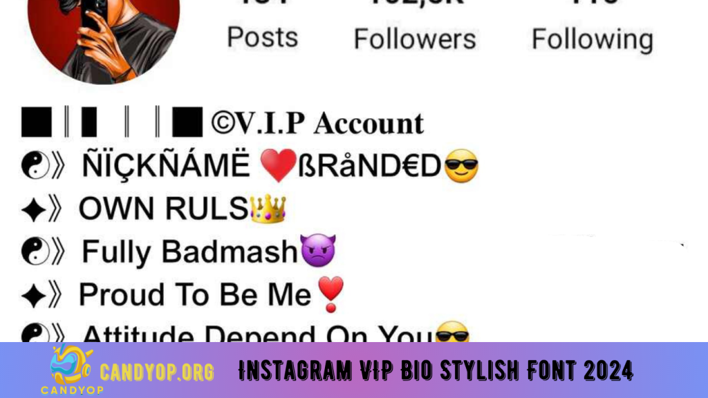 Instagram VIP Bio Stylish Font 2024