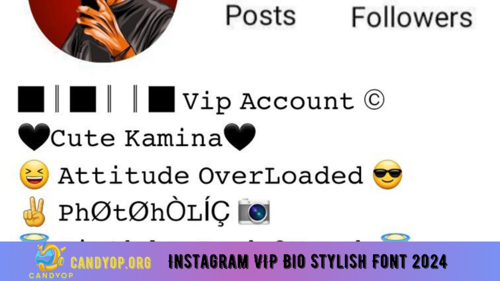 Instagram VIP Bio Stylish Font 2024