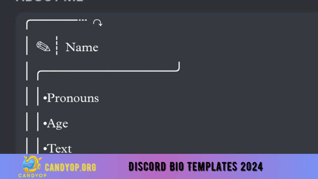 Discord Bio Templates 2024