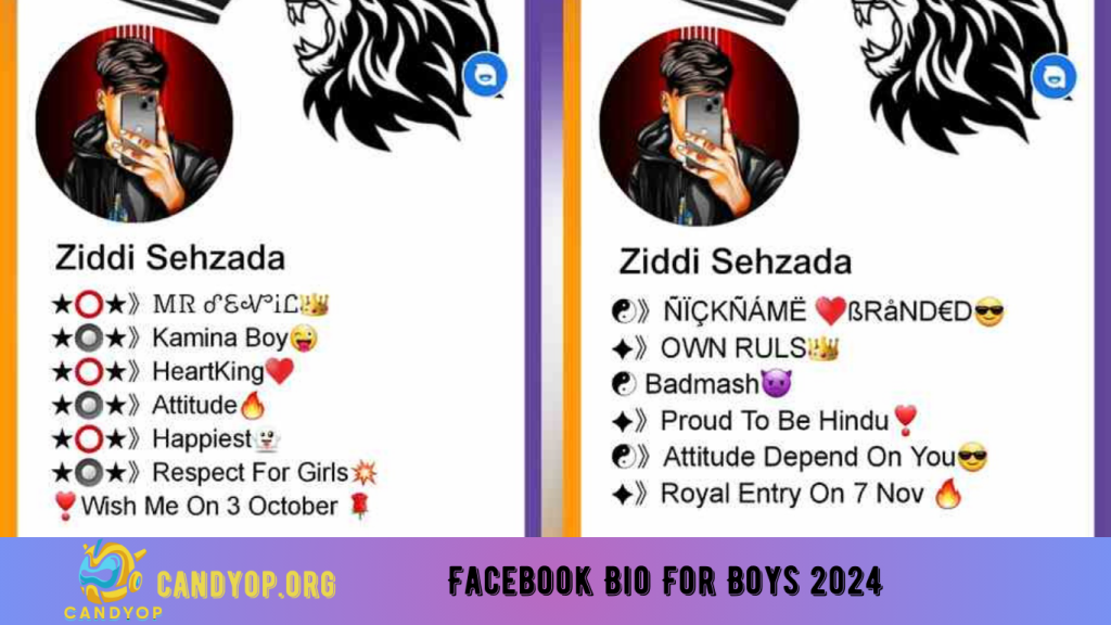 Facebook Bio For Boys 2024