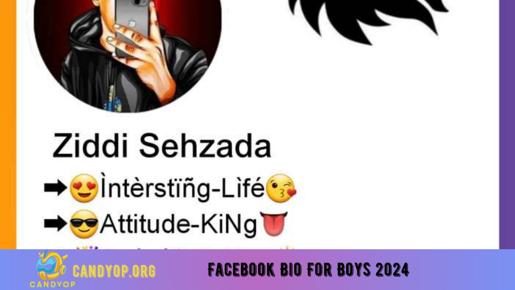 Facebook Bio For Boys 2024