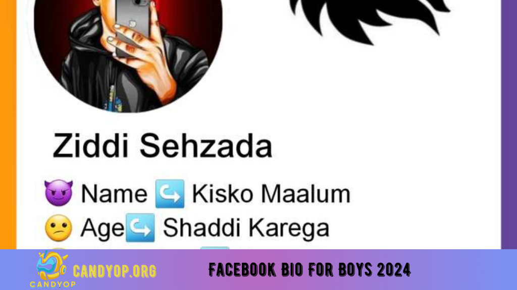 Facebook Bio For Boys 2024