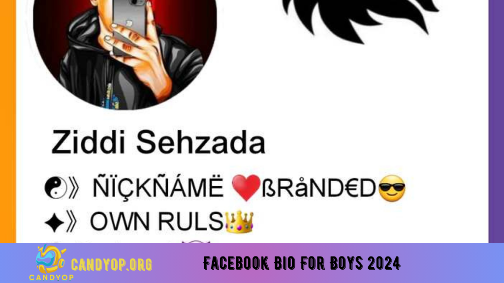 Facebook Bio For Boys 2024