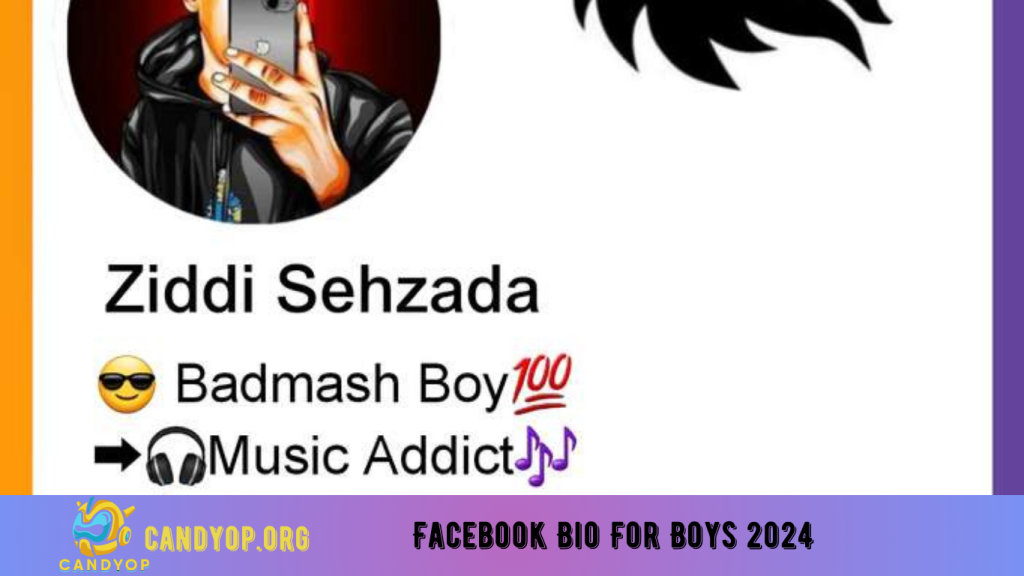 Facebook Bio For Boys 2024