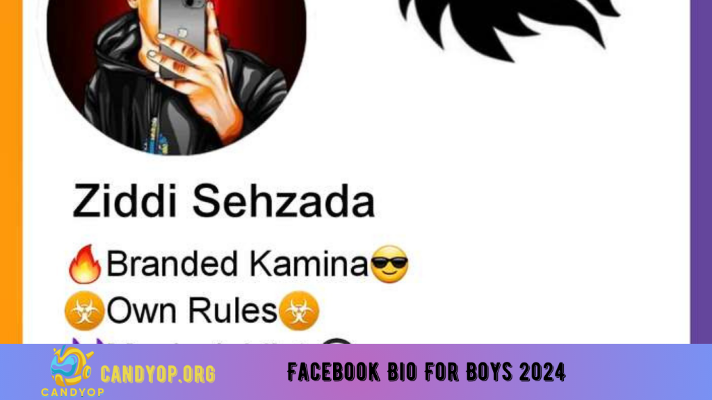 Facebook Bio For Boys 2024