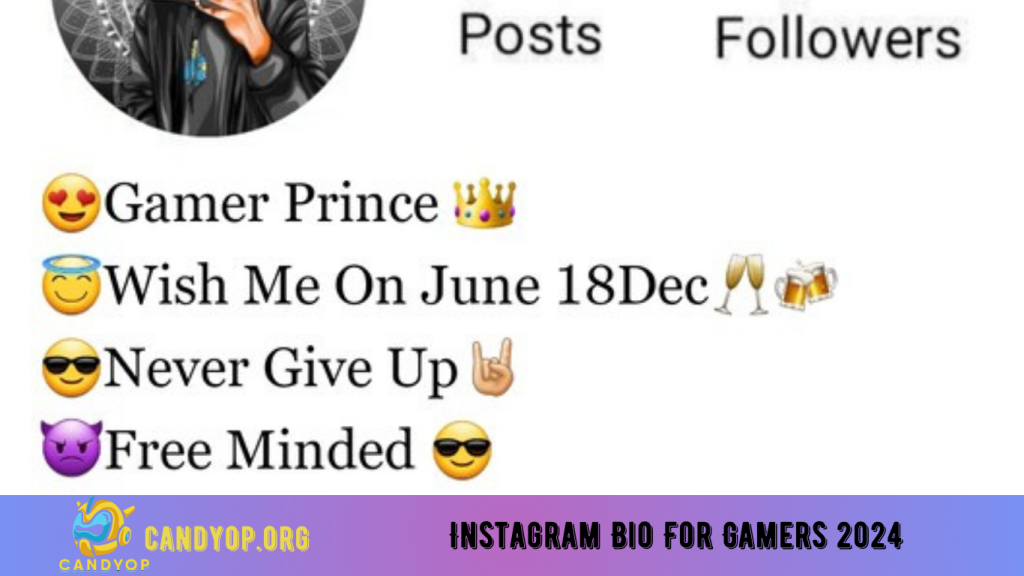 Instagram Bio For Gamers 2024