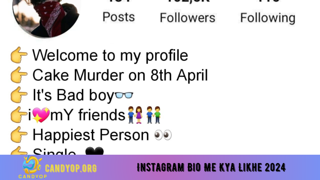 Instagram Bio Me Kya Likhe 2024