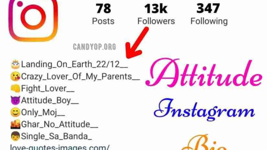 Best 390+ Attitude Instagram bio Stylish & Trending 2024